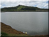 mauritius2006nr473.jpg