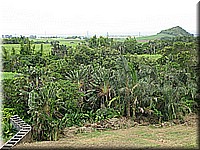 mauritius2006nr483.jpg