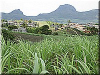 mauritius2006nr488.jpg