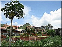 mauritius2006nr491.jpg