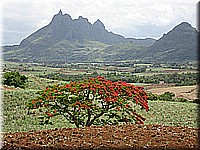 mauritius2006nr492.jpg