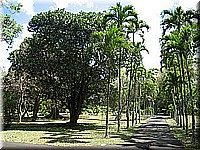 mauritius2006nr494.jpg