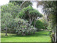 mauritius2006nr495.jpg