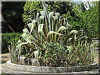 mauritius2006nr509.jpg