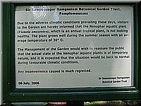 mauritius2006nr517.jpg
