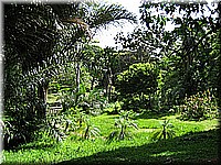 mauritius2006nr526.jpg