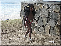 mauritius2006nr530.jpg