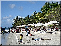 mauritius2006nr532.jpg