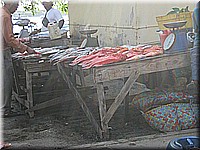 mauritius2006nr534.jpg