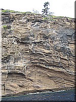 mauritius2006nr554.jpg