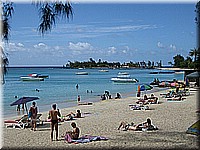 mauritius2006nr587.jpg