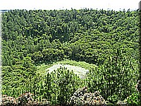mauritius2006nr591.jpg