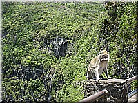 mauritius2006nr617.jpg