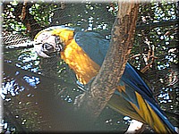 mauritius2006nr649.jpg