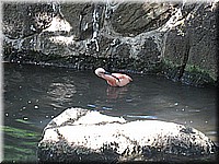 mauritius2006nr650.jpg