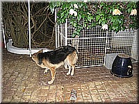 mauritius2006nr688.jpg