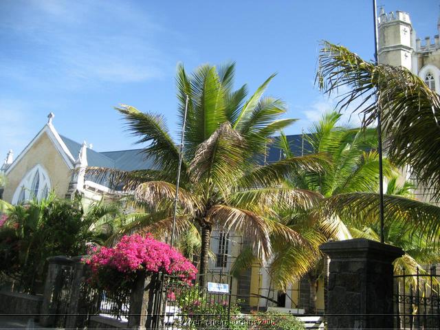 mauritius2006nr117.jpg