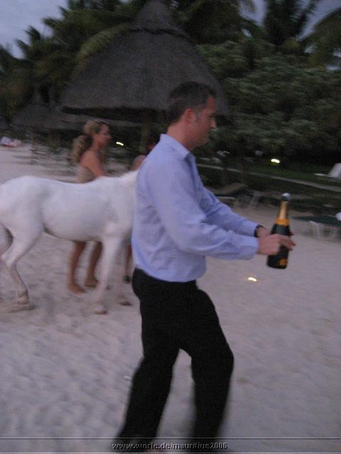 mauritius2006nr238.jpg