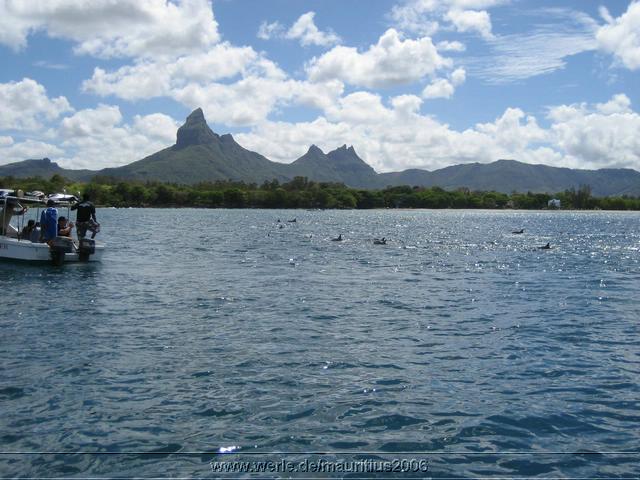 mauritius2006nr276.jpg
