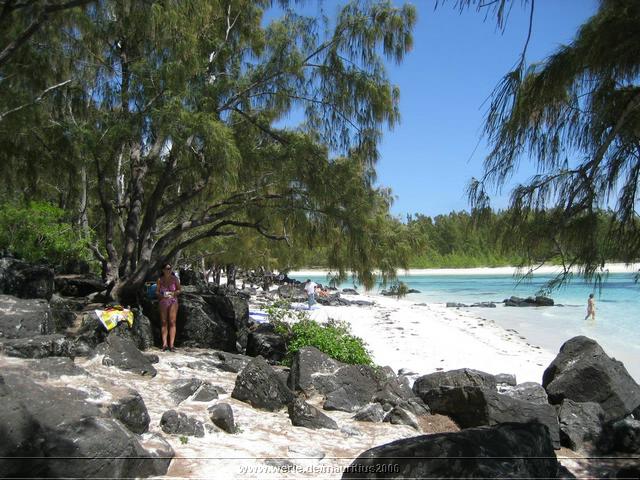 mauritius2006nr405.jpg