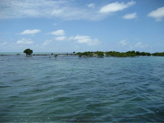 mauritius2006nr411.jpg