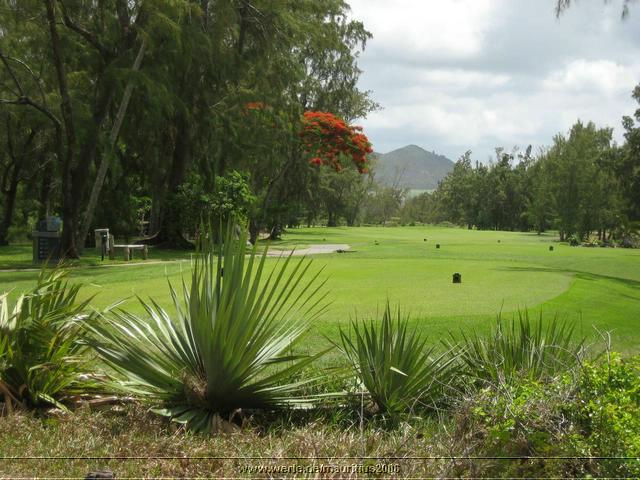 mauritius2006nr435.jpg