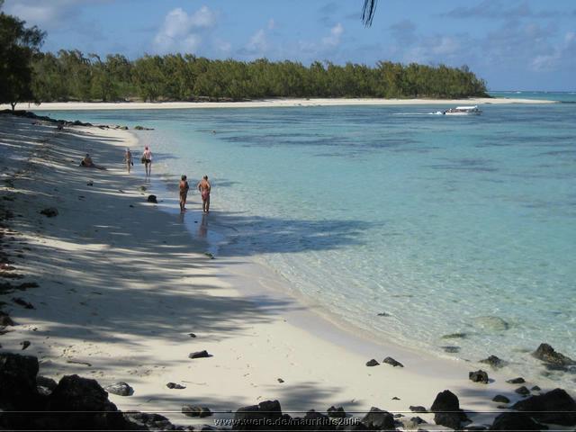 mauritius2006nr446.jpg