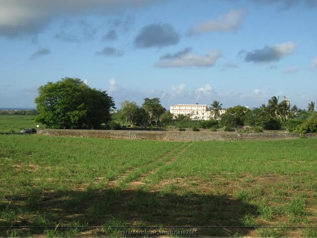 mauritius2006nr452.jpg