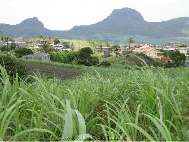 mauritius2006nr488.jpg