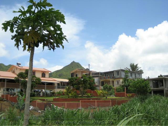 mauritius2006nr491.jpg