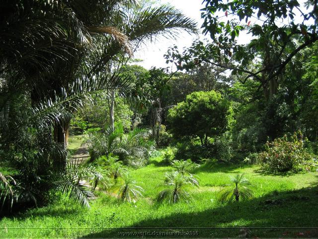 mauritius2006nr526.jpg