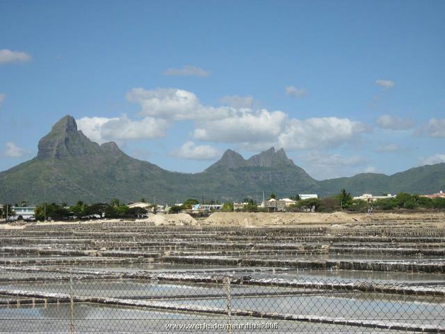 mauritius2006nr647.jpg