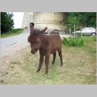 kroatien2003nr115.jpg