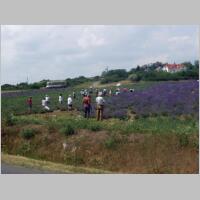 ungarn2003nr087.jpg