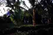 (Im Garten des Park Hotels  [ph00001.jpg] A click makes it big (17 kByte)