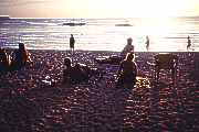 Warten auf den Sonnenuntergang  [ph00124.jpg] Click = 18 kByte big