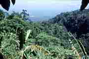 Fernsicht auf Dumaguete  [ph00207.jpg] Click = 22 kByte big