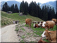 rosskopf2007ww14.jpg