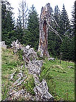 rosskopf2007ww16.jpg