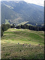 rosskopf2007ww18.jpg