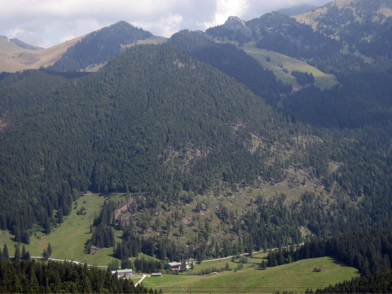 rosskopf2007ww12.jpg
