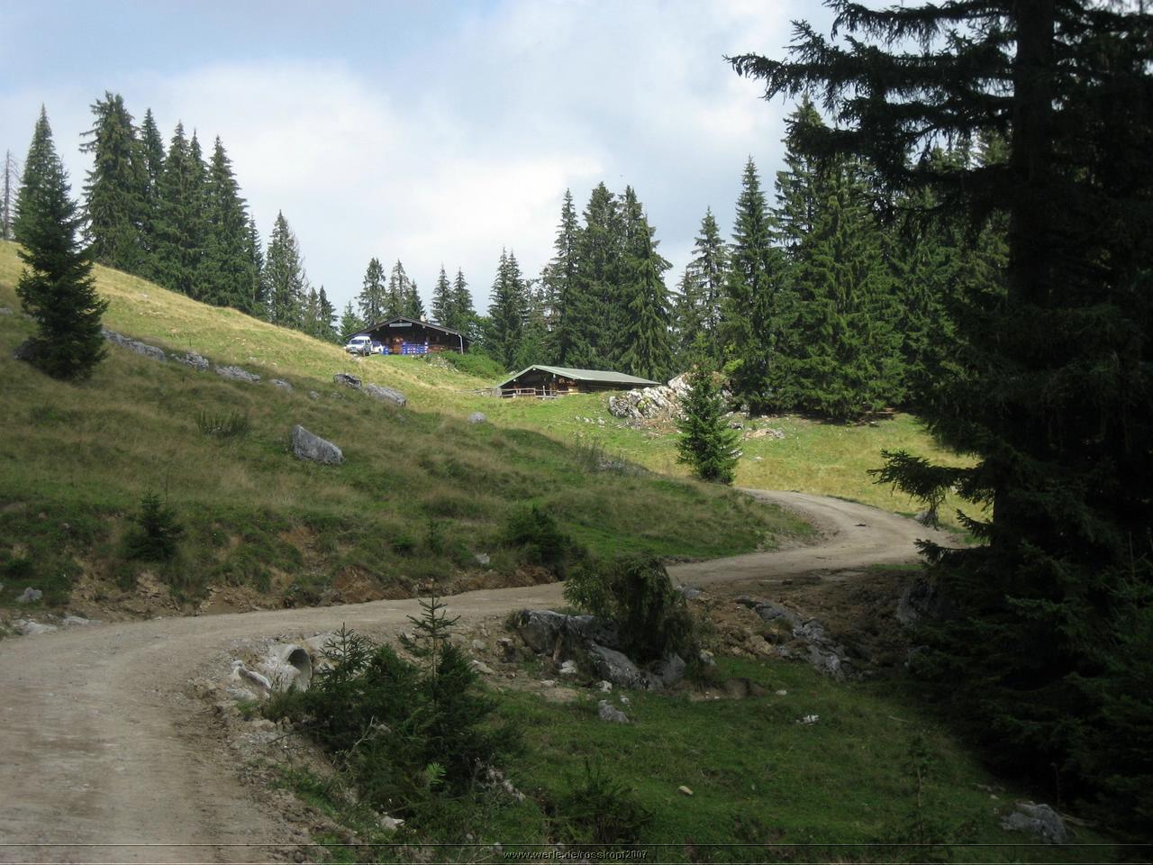 rosskopf2007ww13.jpg