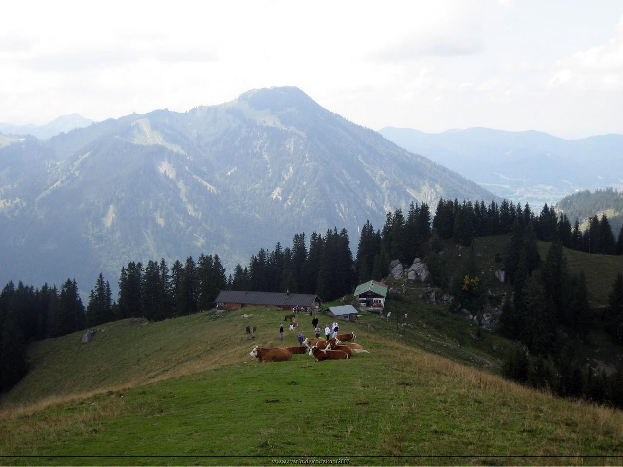 rosskopf2007ww19.jpg