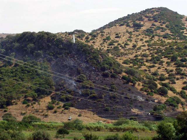 sard2004ww059.jpg