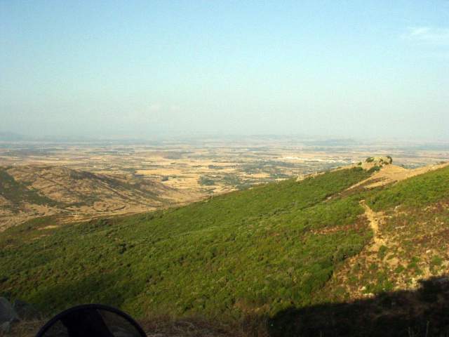 sard2004ww073.jpg