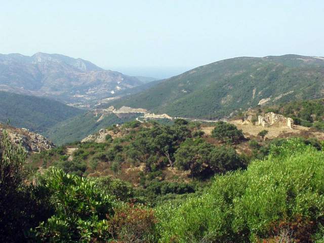 sard2004ww078.jpg