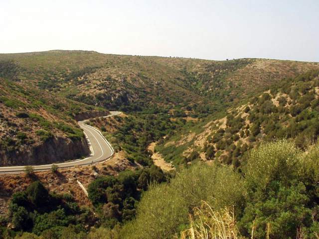 sard2004ww083.jpg