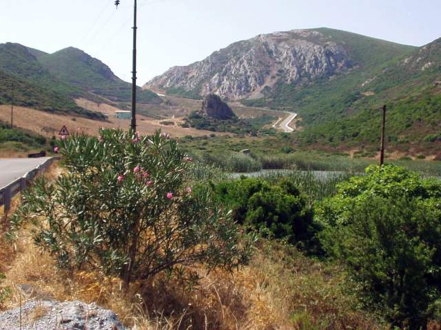 sard2004ww085.jpg