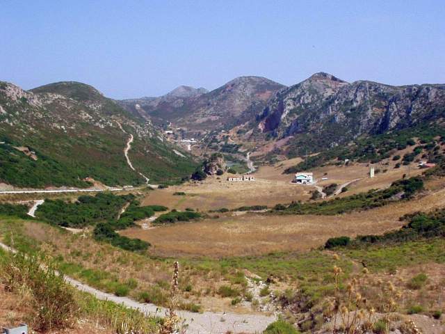 sard2004ww086.jpg