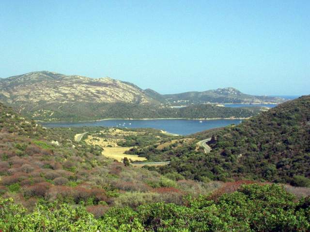 sard2004ww098.jpg